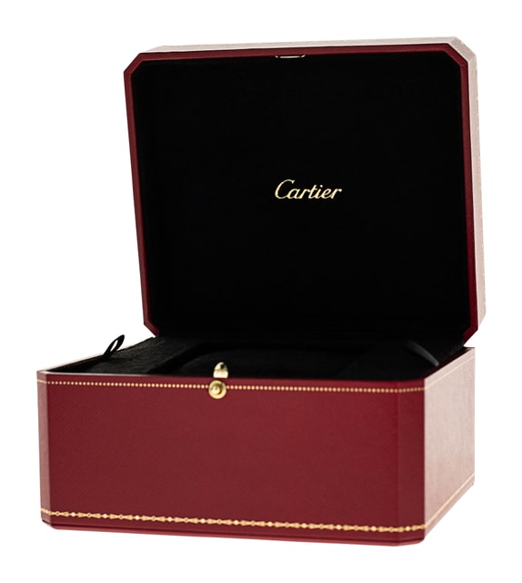 Cartier Santos De Cartier WSSA0030 Image 4